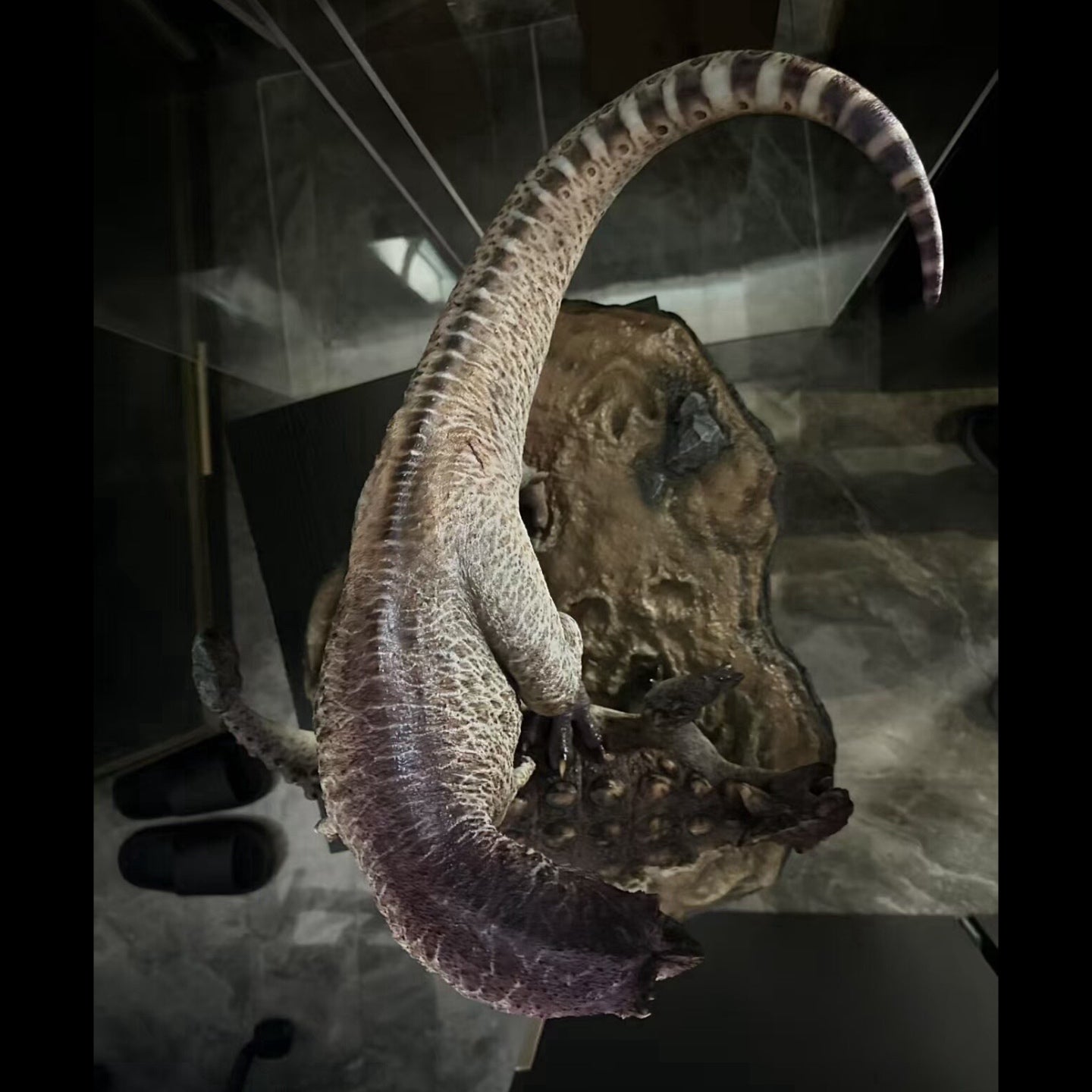 Tyrannosaurus Rex VS Ankylosaurus Scene statue Model Kit 1:15 Scale Showanna Studio