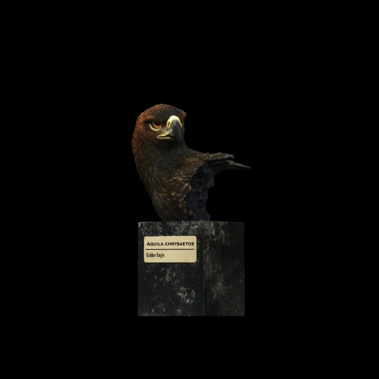 GOLDEN EAGLE · YUNNAN SNUB-NOSED MONKEY · TAKIN · CLOUDED LEOPARD  WILD CHINA: ENDANGERED SPECIES ART STATUE PROJECT