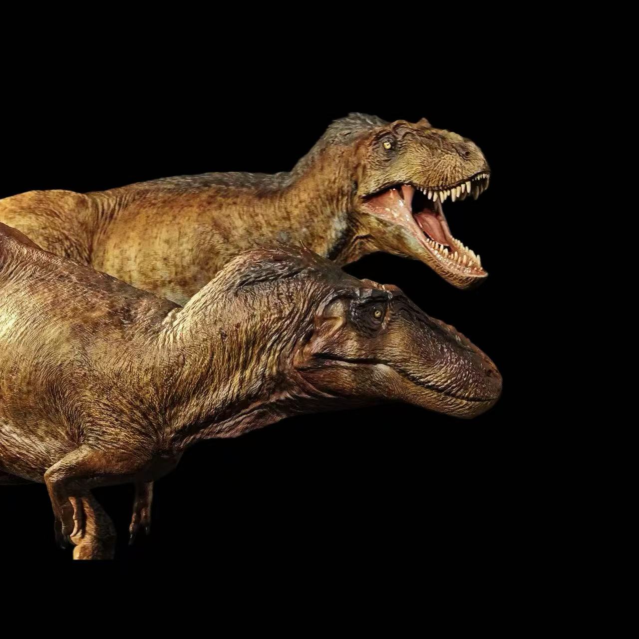 Asiatyrannus xui statue Model Kit 1:35 1:18 1:10 Scale  Carson Long Studio