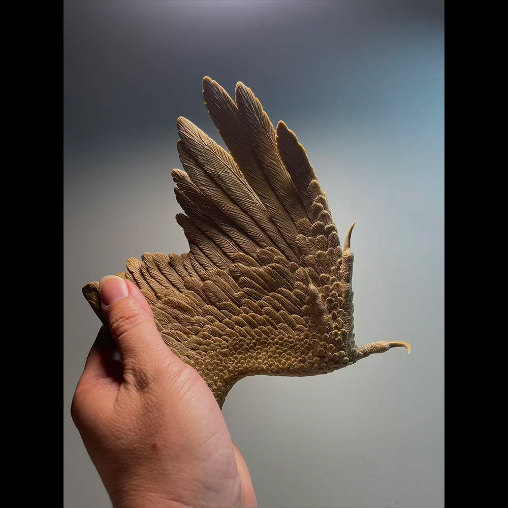 Archaeopteryx statue Model Kit 1:1 Scale Sensen Studio