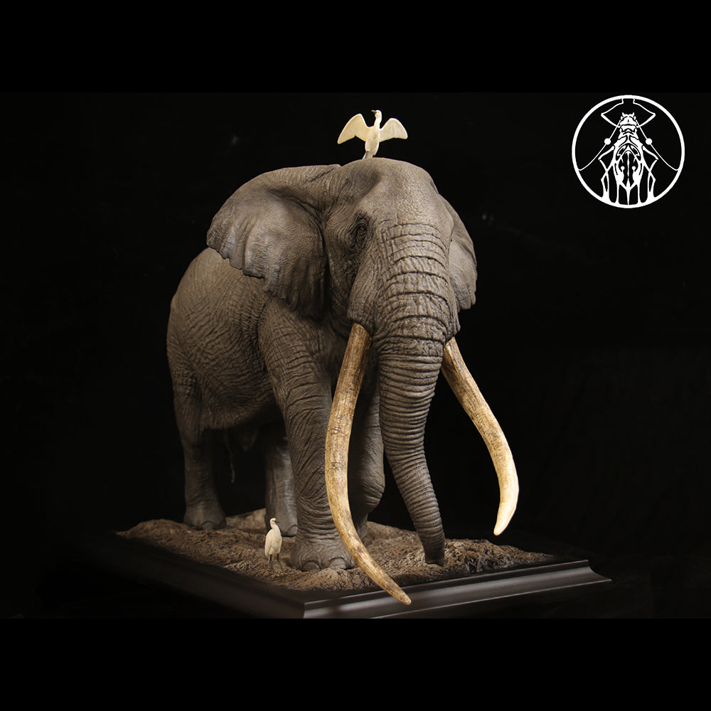 Loxodonta africana Tim 1/10 1/15 1/18 1/35  APHID STUDIO