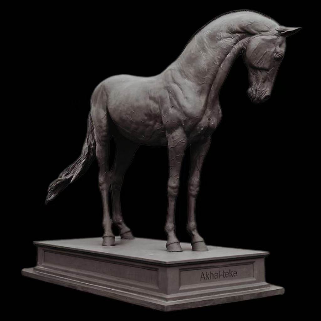 Akhal-Teke Horse statue Model Kit 1:6 Scale Tunan STUDIO