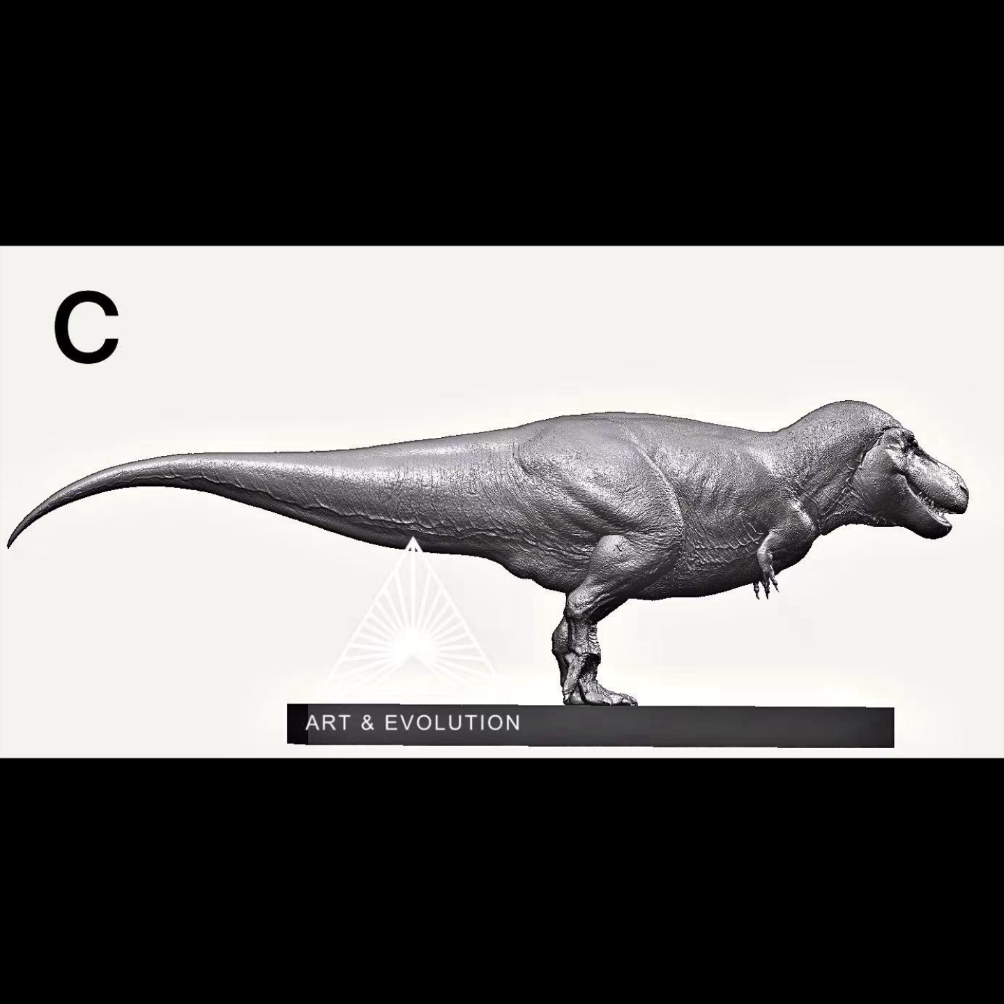 Tyrannosaurus rex SUE Statue Model Kit 1:10 1:15 1:18 Scale Art&Evolution Studio
