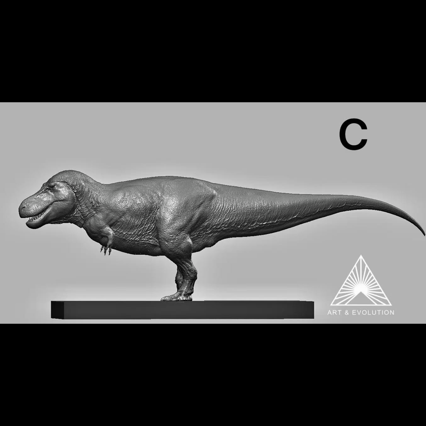 Tyrannosaurus rex SUE Statue Model Kit 1:10 1:15 1:18 Scale Art&Evolution Studio