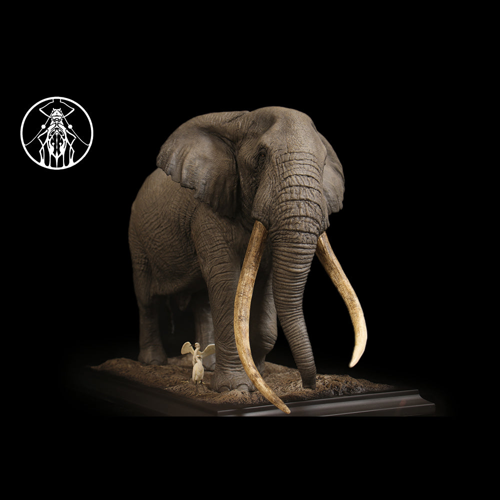 Loxodonta africana Tim 1/10 1/15 1/18 1/35  APHID STUDIO