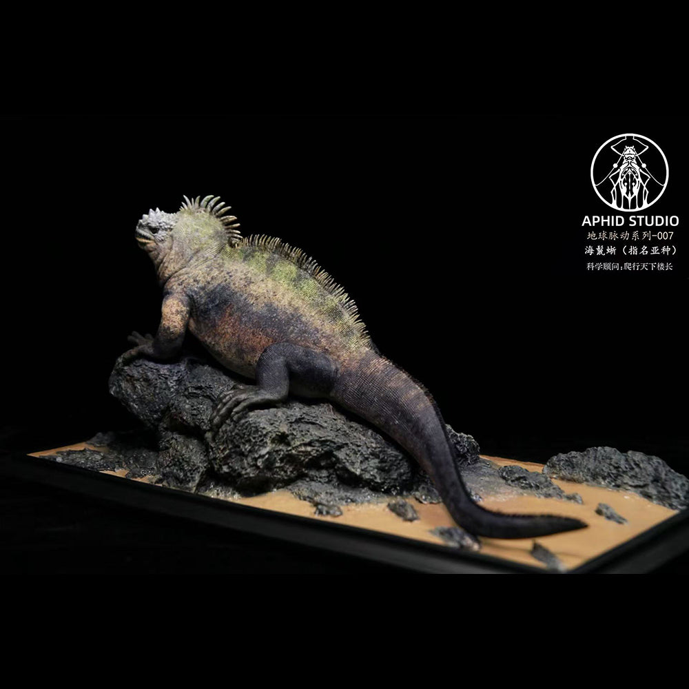 Amblyrhynchus cristatus statue Model Kit 1:4 1:10 1:18 Scale APHID STUDIO