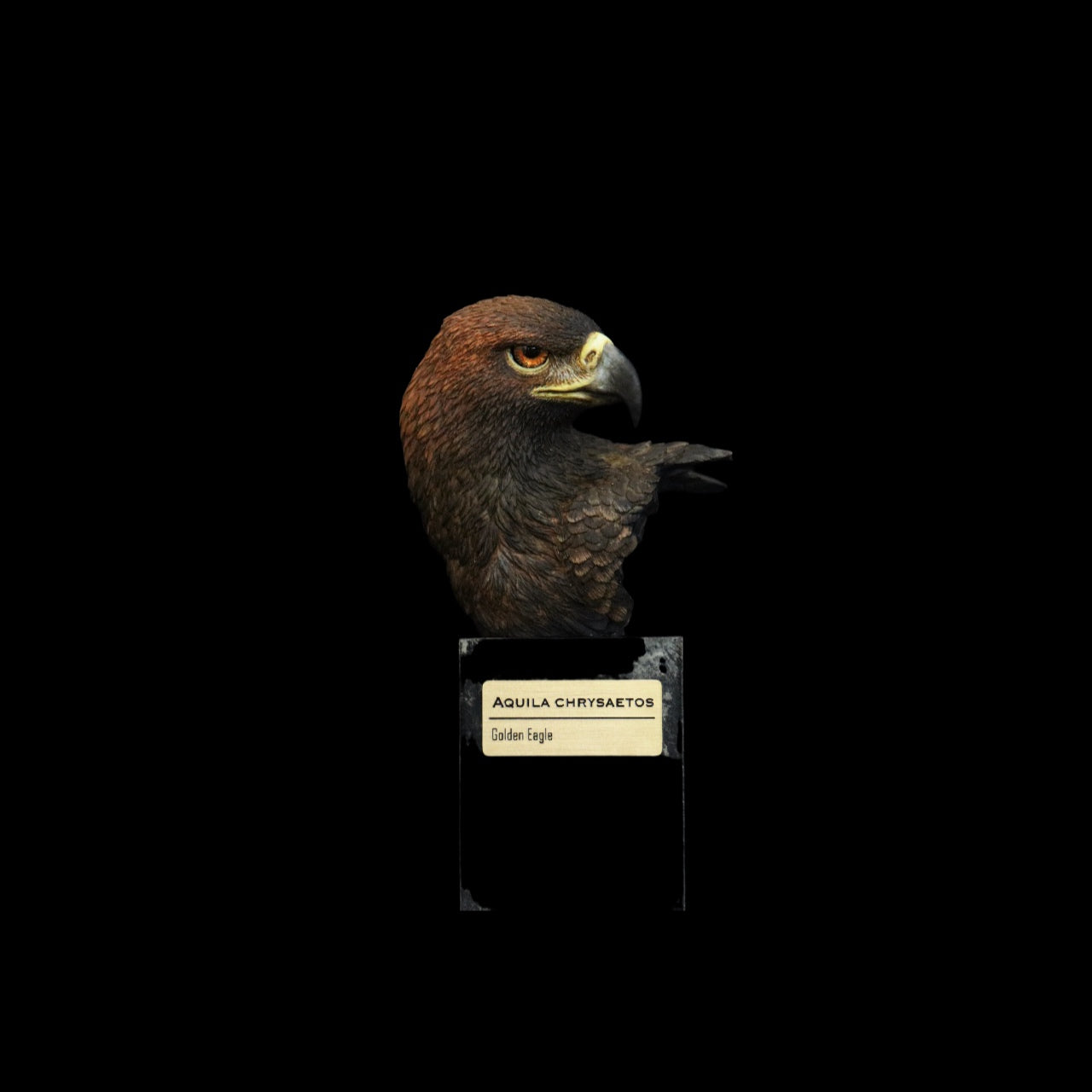 GOLDEN EAGLE · YUNNAN SNUB-NOSED MONKEY · TAKIN · CLOUDED LEOPARD  WILD CHINA: ENDANGERED SPECIES ART STATUE PROJECT