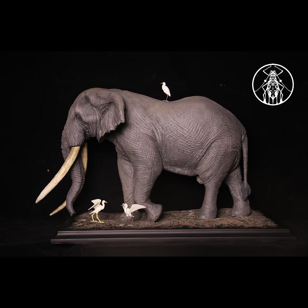 Loxodonta africana Tim 1/10 1/15 1/18 1/35  APHID STUDIO