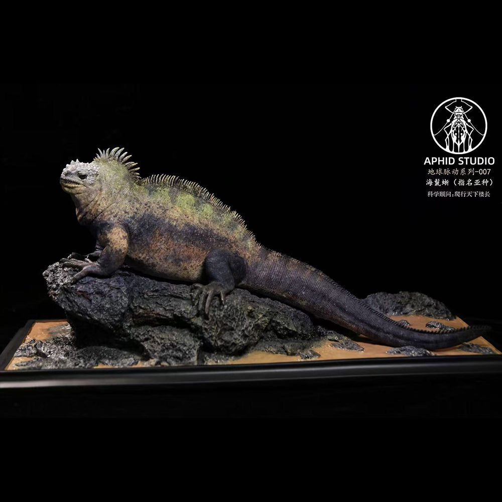 Amblyrhynchus cristatus statue Model Kit 1:4 1:10 1:18 Scale APHID STUDIO