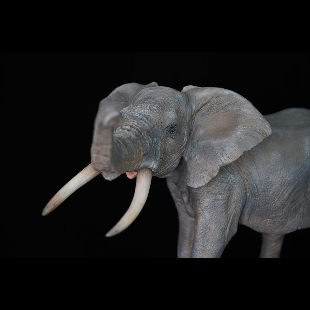 Loxodonta 1/15  Memory Museum Studio
