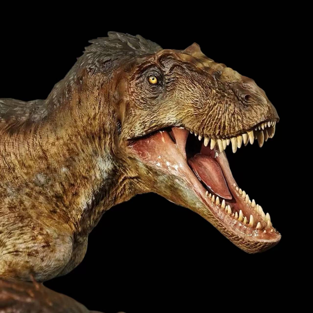 Asiatyrannus xui statue Model Kit 1:35 1:18 1:10 Scale  Carson Long Studio
