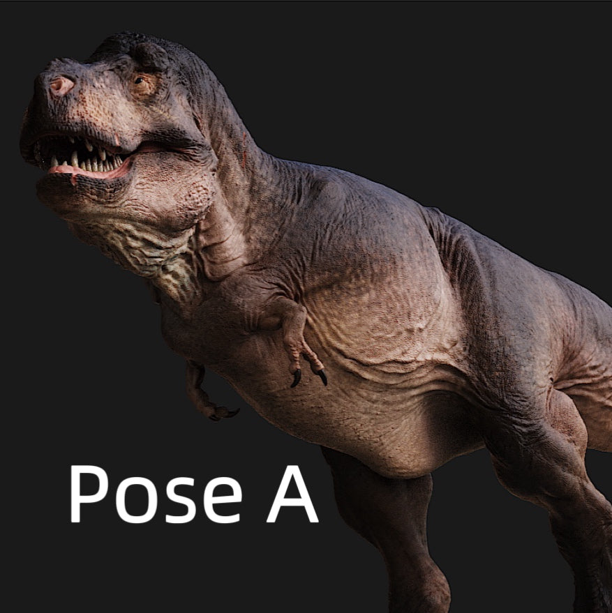 Tyrannosaurus rex Statue Model Kit 1:20 1:35 Scale Lemon Drops Studio