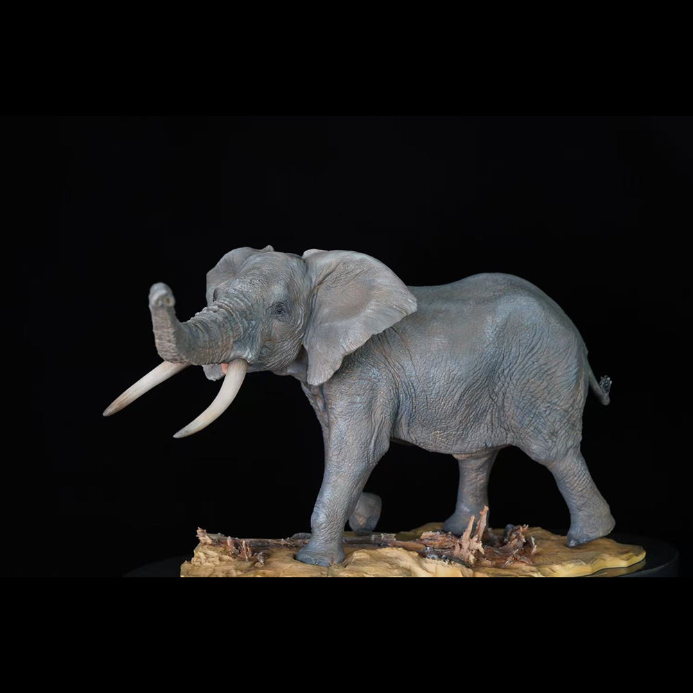 Loxodonta 1/15  Memory Museum Studio