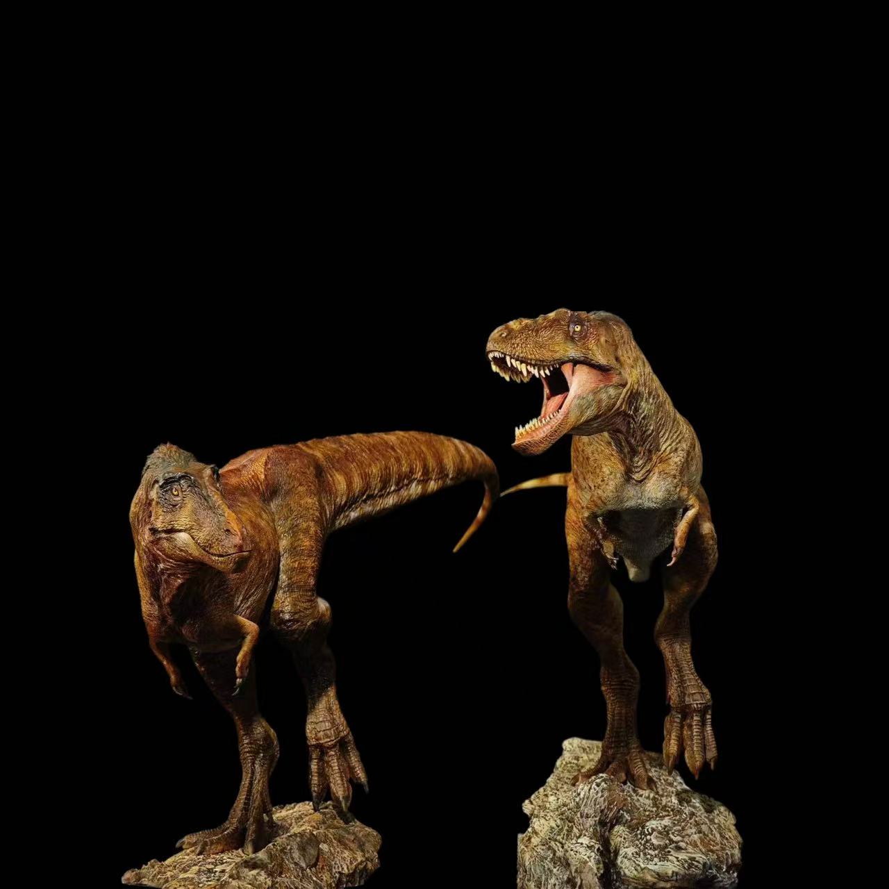 Asiatyrannus xui statue Model Kit 1:35 1:18 1:10 Scale  Carson Long Studio
