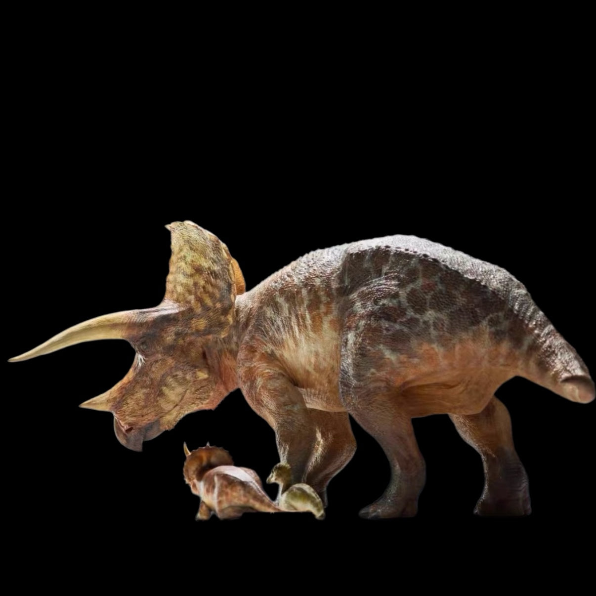 Triceratops statue Model Kit 1:35 Scale Carson Long Studio