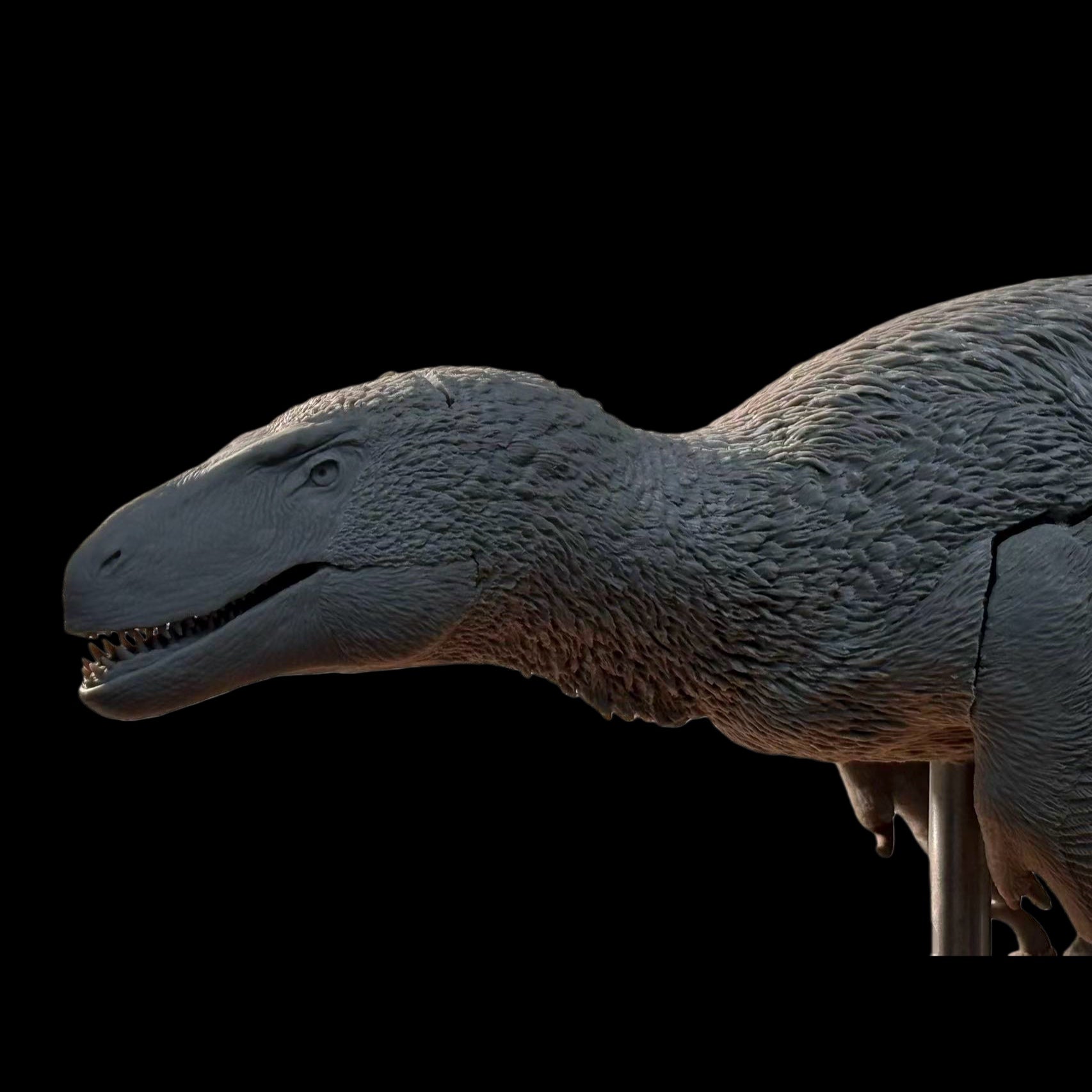 Utahraptor Statue Model Kit 1:15 Scale Cen Studio