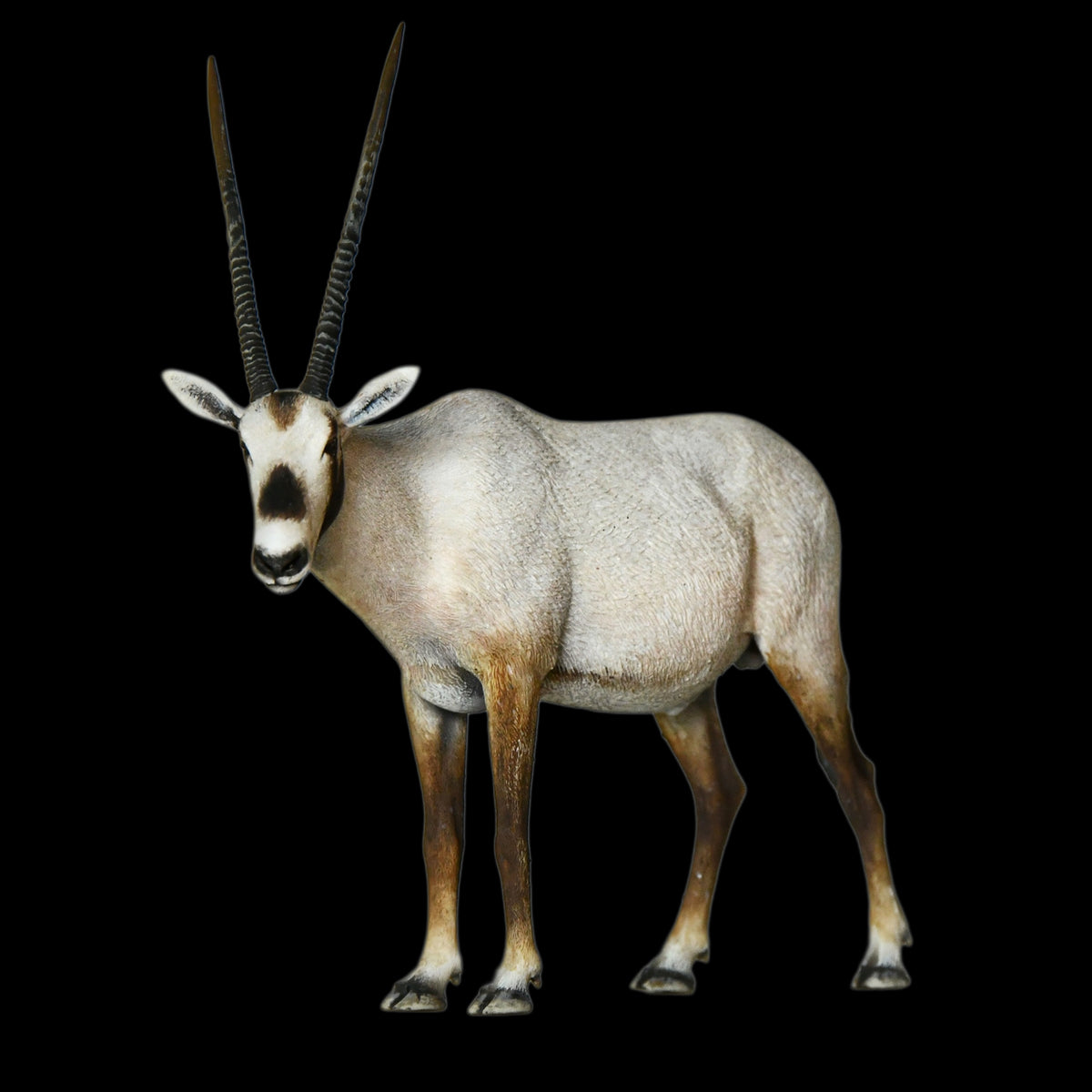 ARABIAN ORYX MUSEUM-GRADE STATUE (1:35 / 1:15 / 1:10 SCALES AVAILABLE | GREY RESIN KIT / PAINTED EDITION)