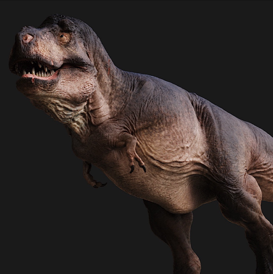 Tyrannosaurus rex Statue Model Kit 1:20 1:35 Scale Lemon Drops Studio