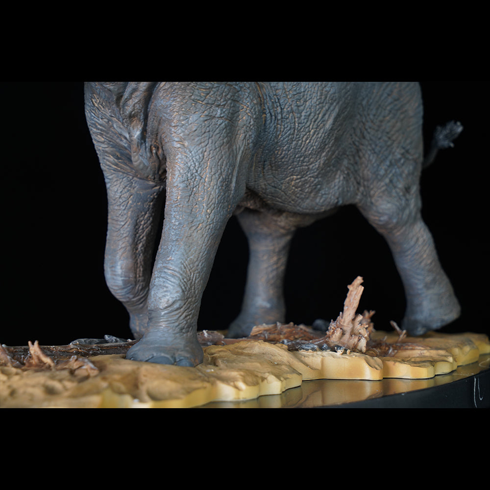 Loxodonta 1/15  Memory Museum Studio