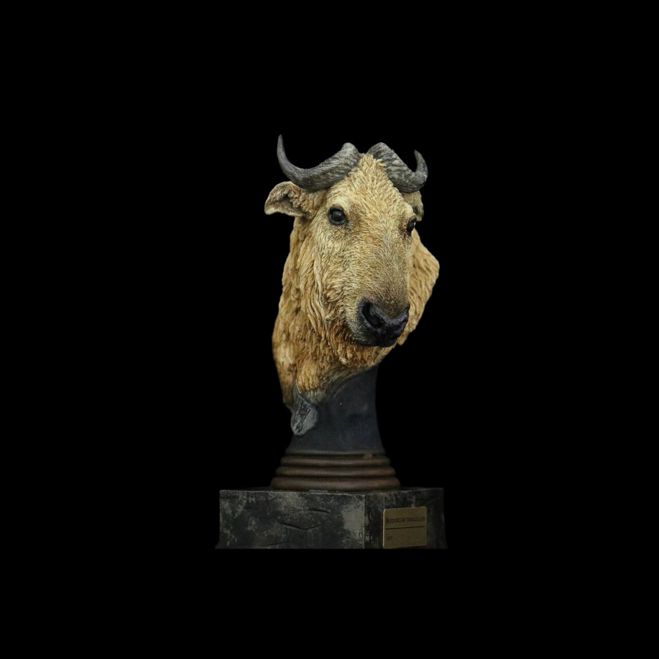 GOLDEN EAGLE · YUNNAN SNUB-NOSED MONKEY · TAKIN · CLOUDED LEOPARD  WILD CHINA: ENDANGERED SPECIES ART STATUE PROJECT