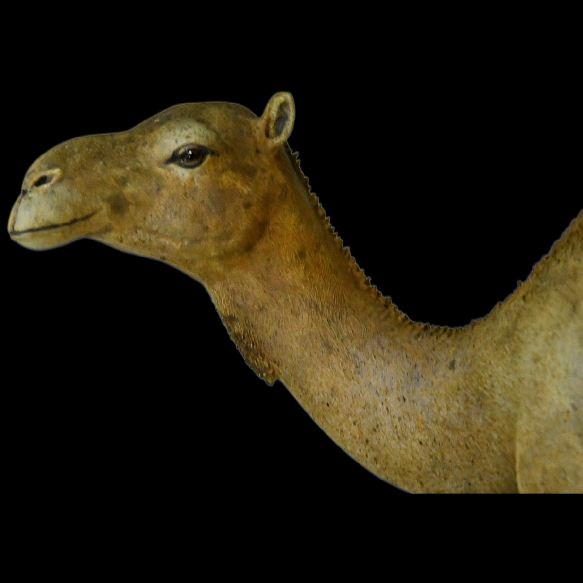 DROMEDARY CAMEL MUSEUM-GRADE STATUE (1:35 / 1:15 / 1:10 SCALES AVAILABLE | GREY RESIN KIT / PAINTED EDITION)