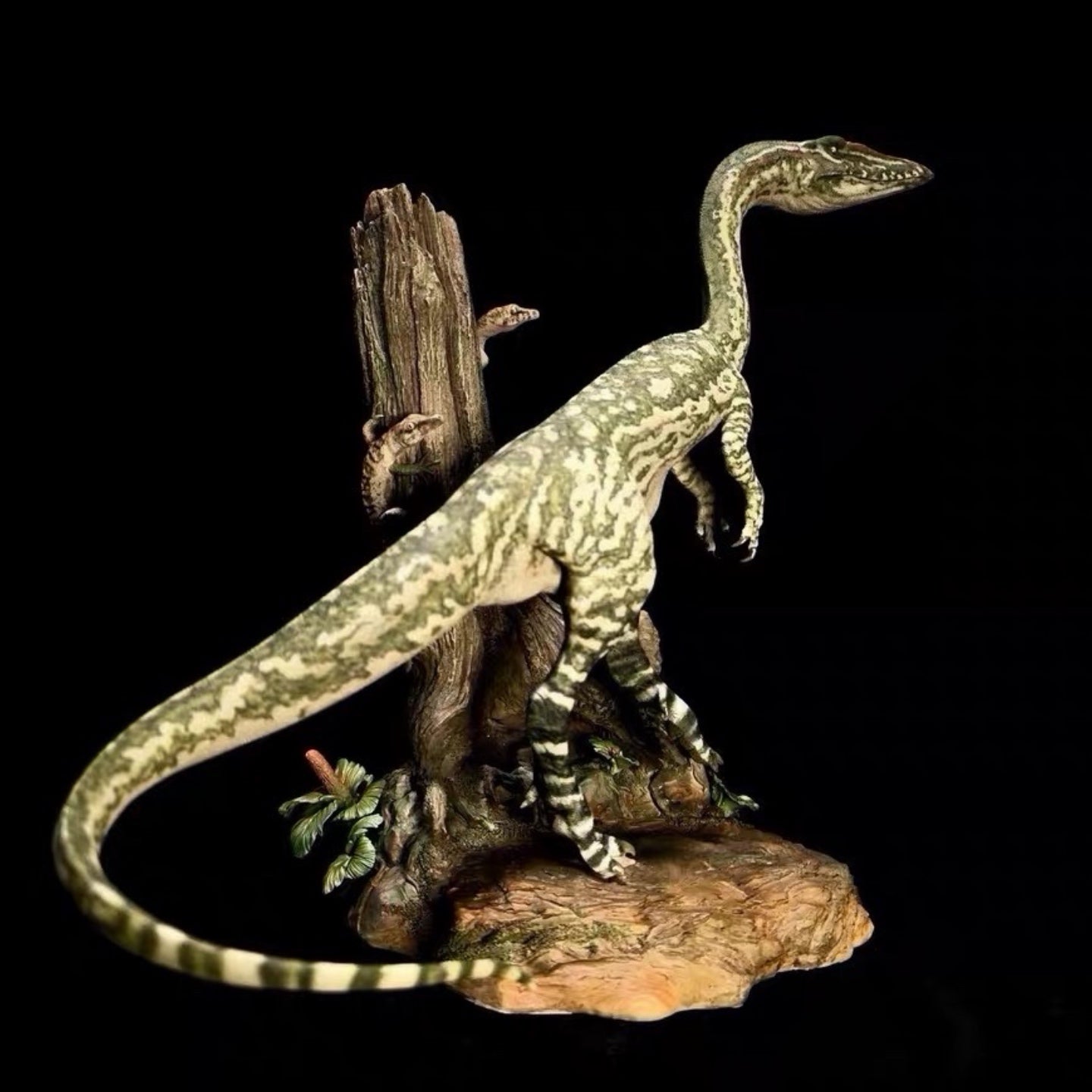 Coelophysis statue Model Kit 1:6 Scale SenSen Studio