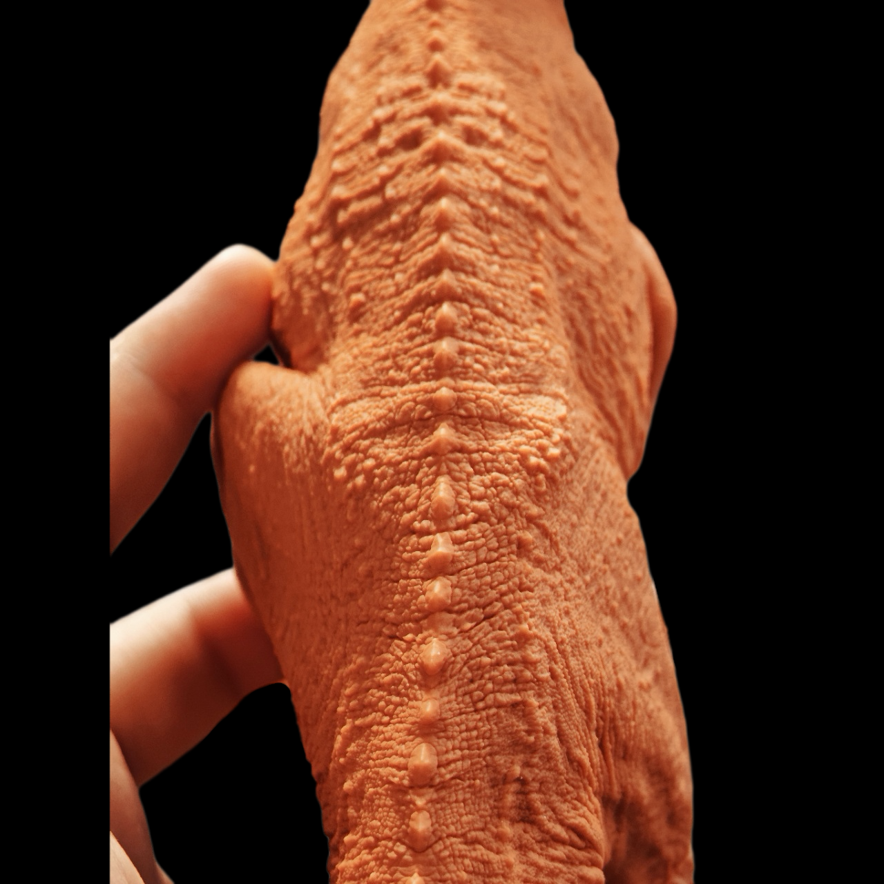 Ceratosaurus dentisulcatus statue Model Kit 1:10 1:18 1:35 Scale  Showanna Studio