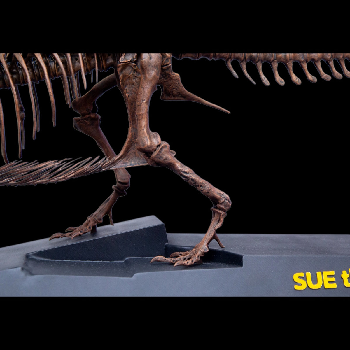TYRANNOSAURUS REX "SUE" 1:18 FOSSIL SKELETON STATUE Daxiong Studio