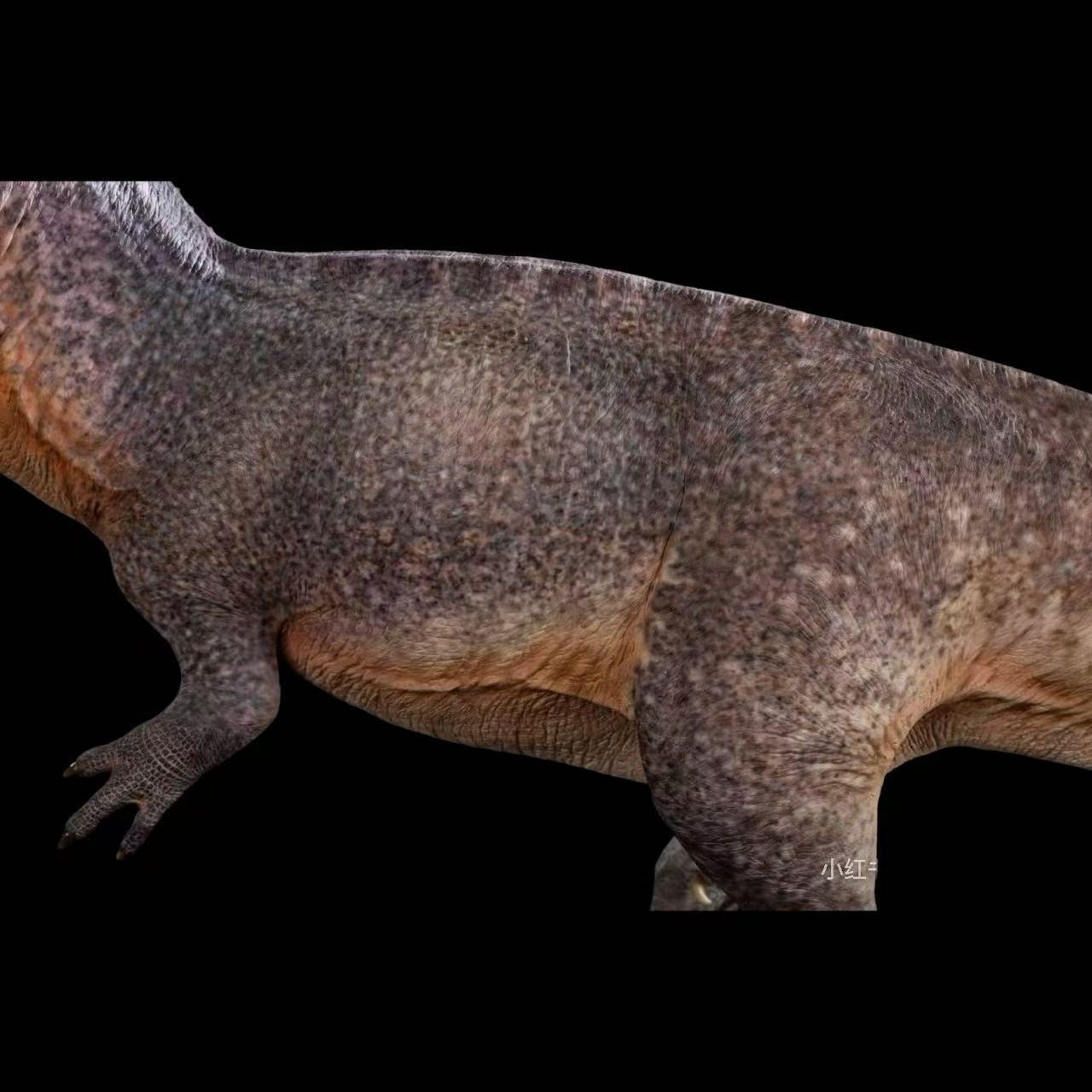 Giganotosaurus carolinii statue Model Kit 1:18 Scale Cen Studio