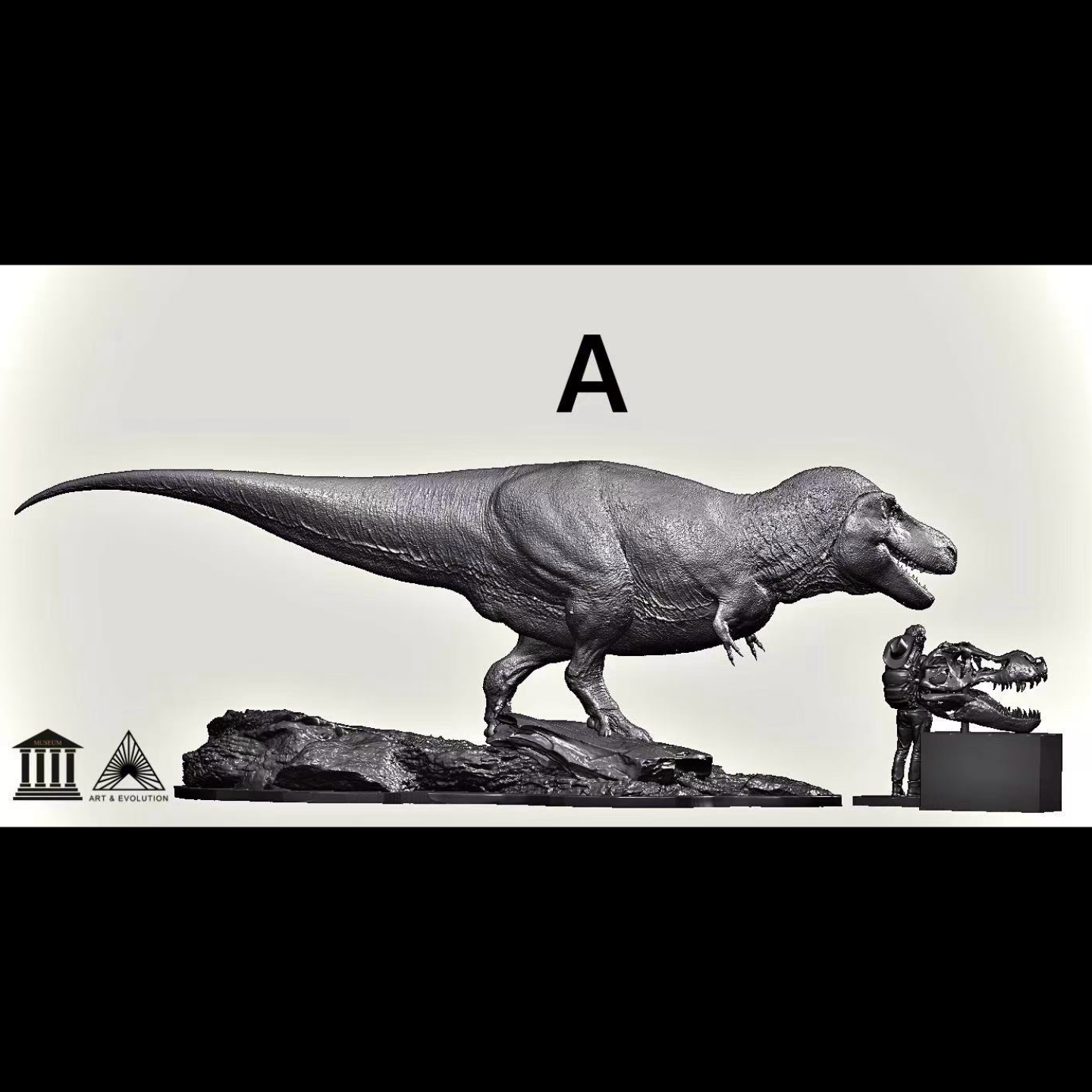 Tyrannosaurus rex SUE Statue Model Kit 1:10 1:15 1:18 Scale Art&Evolution Studio
