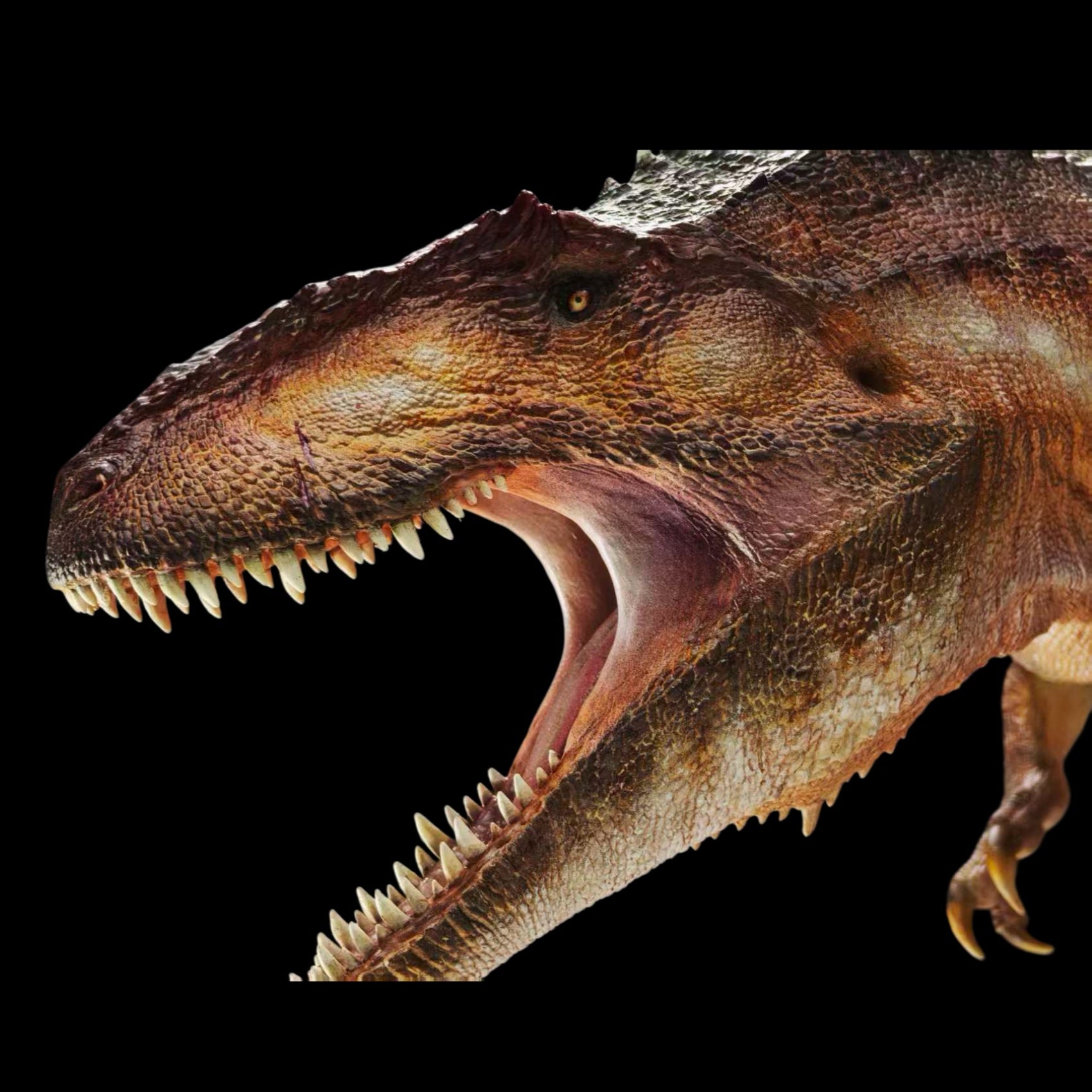 Giganotosaurus Carolinii statue Model Kit 1:35 Scale Carson Long Studio