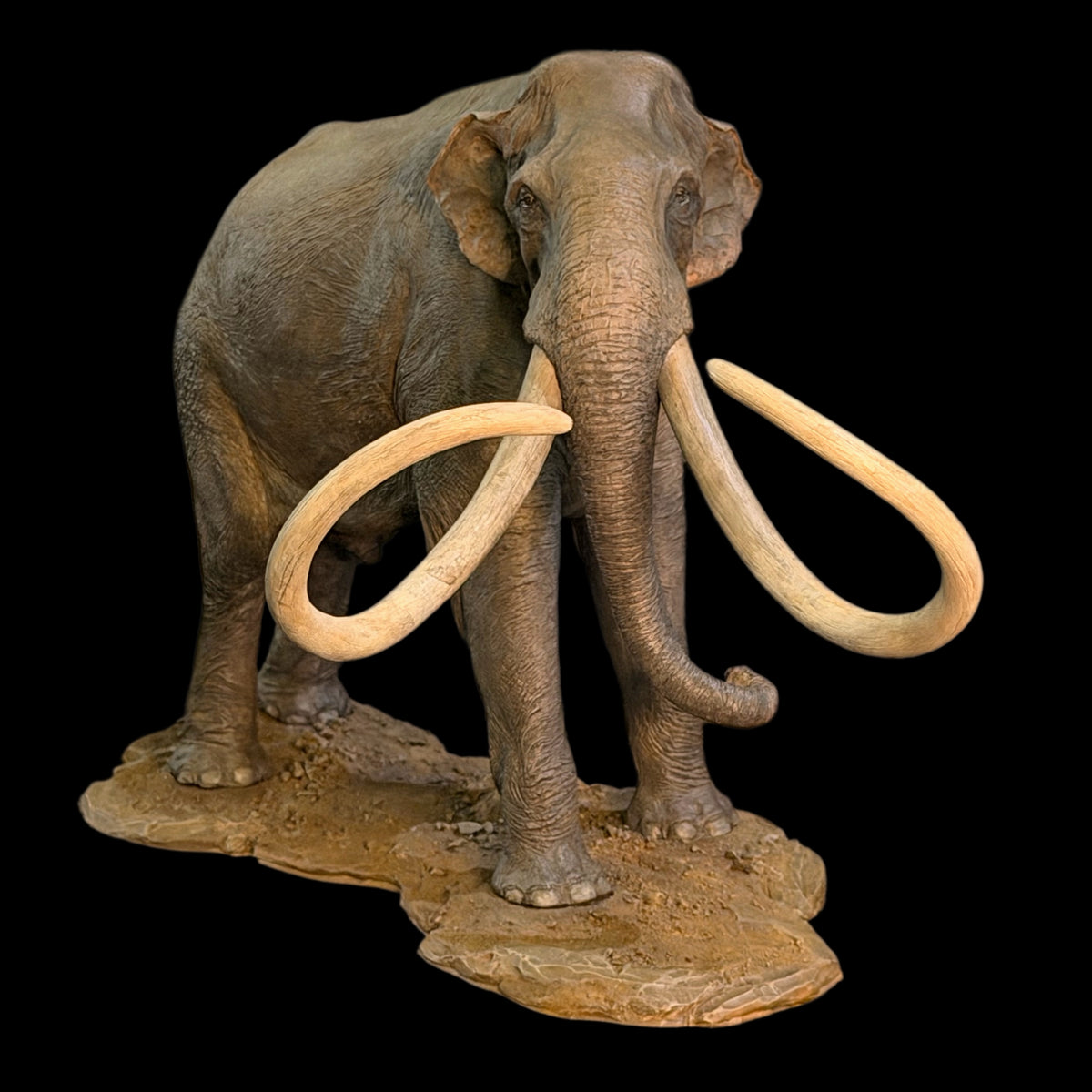 COLUMBIAN MAMMOTH 1:18 MUSEUM-GRADE BRONZE STATUE  Dinosoul Studio