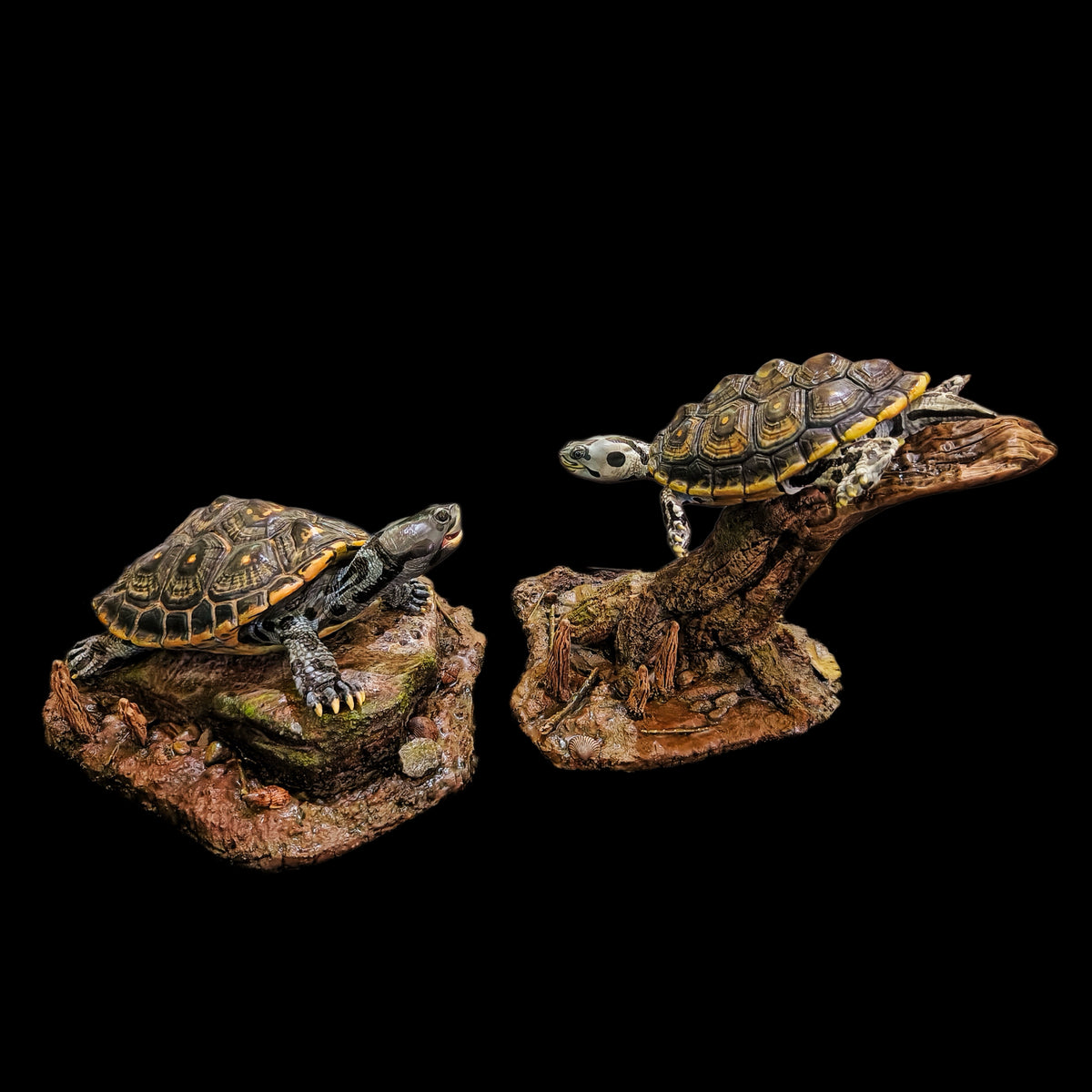 MANGROVE DIAMONDBACK TERRAPIN ECO-DIORAMA STATUE DINAVOID Studio