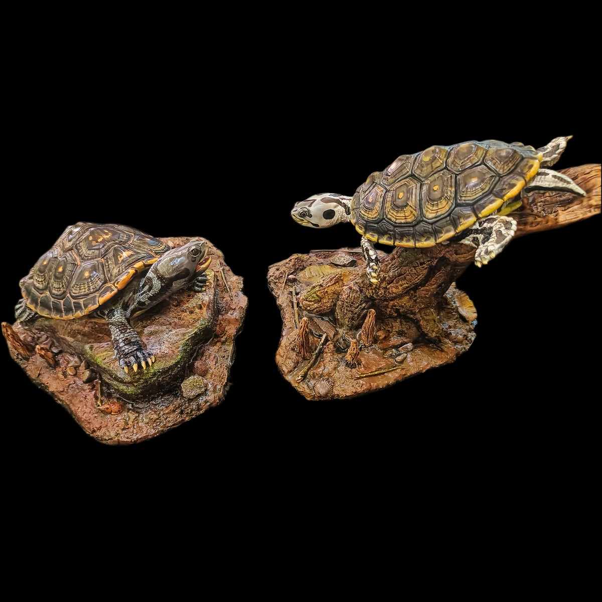 MANGROVE DIAMONDBACK TERRAPIN ECO-DIORAMA STATUE DINAVOID Studio