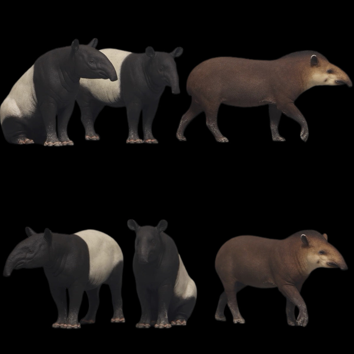 MALAYAN & SOUTH AMERICAN TAPIR statue Model Kit 1:18 1:15 1:10 Scale DaFei Studio