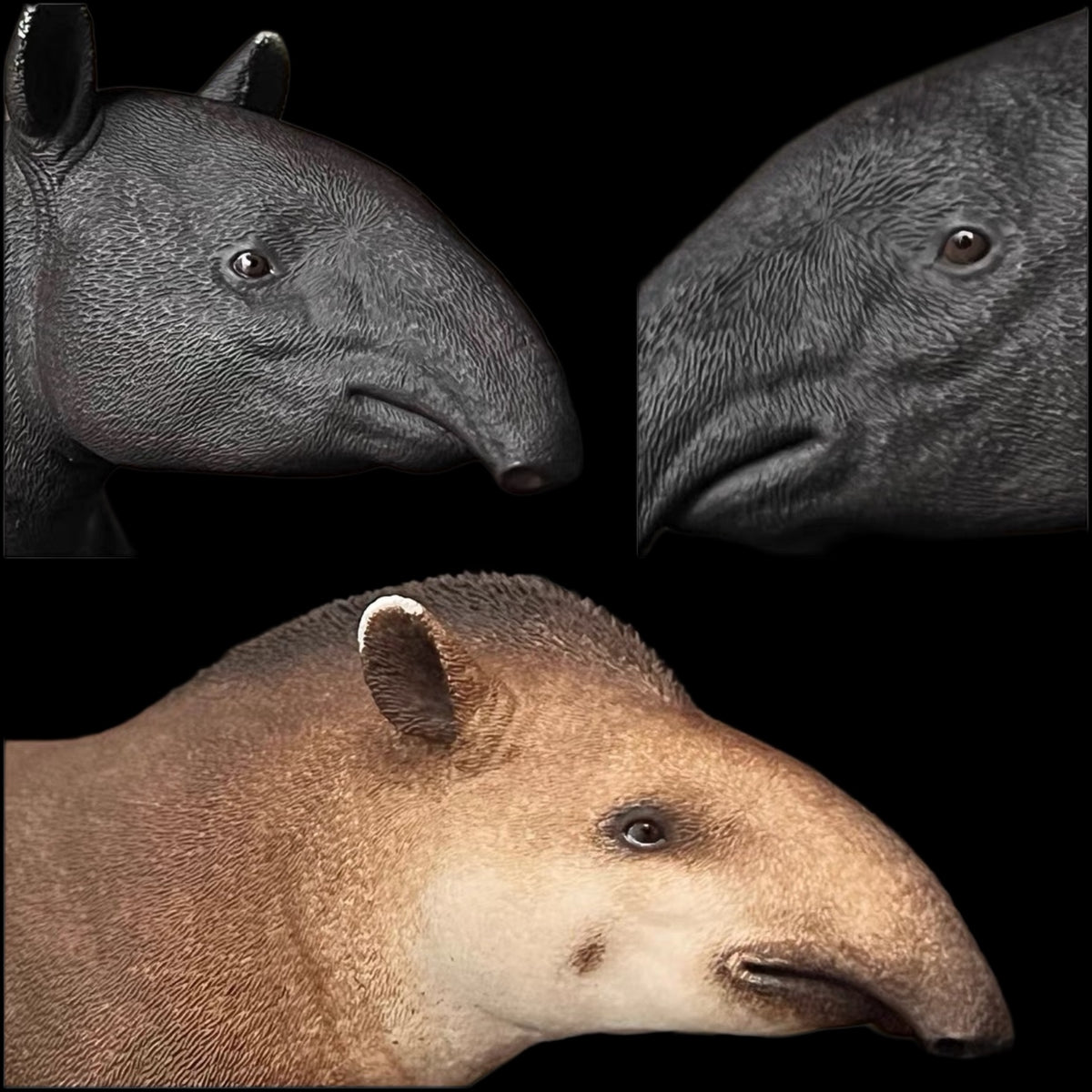 MALAYAN & SOUTH AMERICAN TAPIR statue Model Kit 1:18 1:15 1:10 Scale DaFei Studio