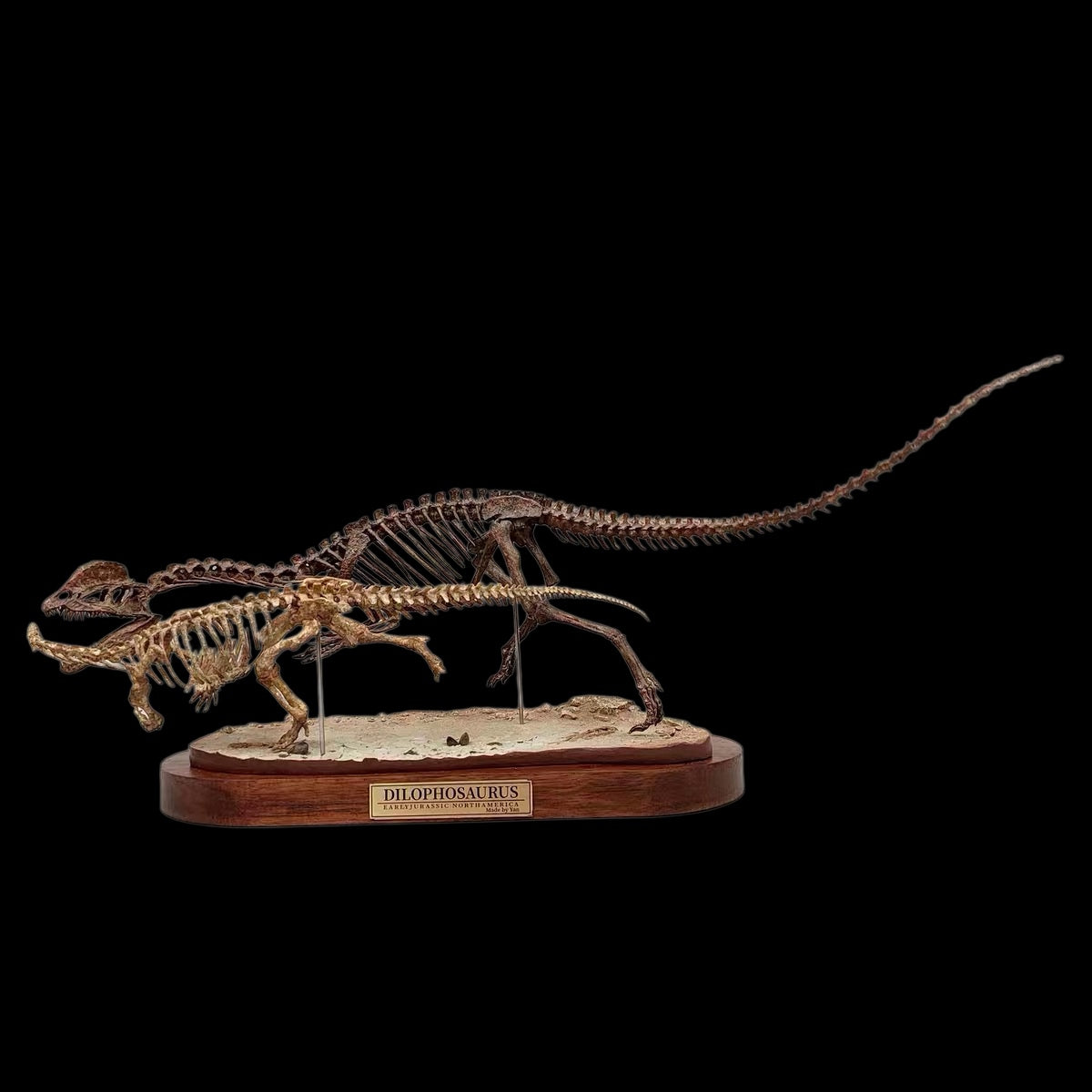 DILOPHOSAURUS HUNTING SARAHSAURUS SKELETAL DIORAMA 1:10 SCALE PAINTED EDITION