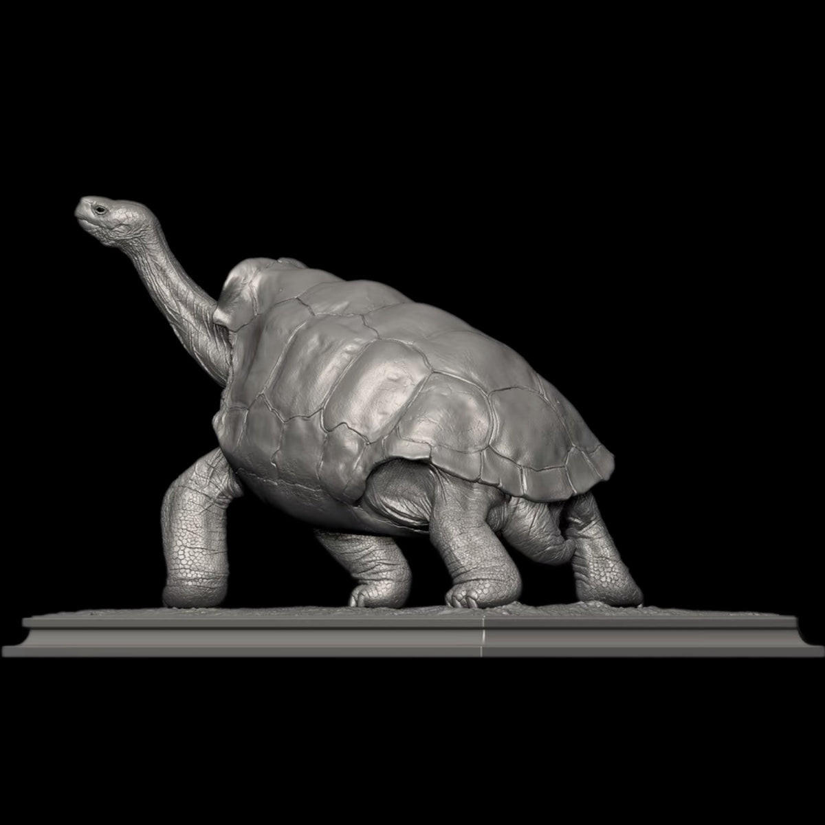 GALAPAGOS GIANT TORTOISE statue Model Kit 1:6 1:10 1:18 Scale APHID STUDIO