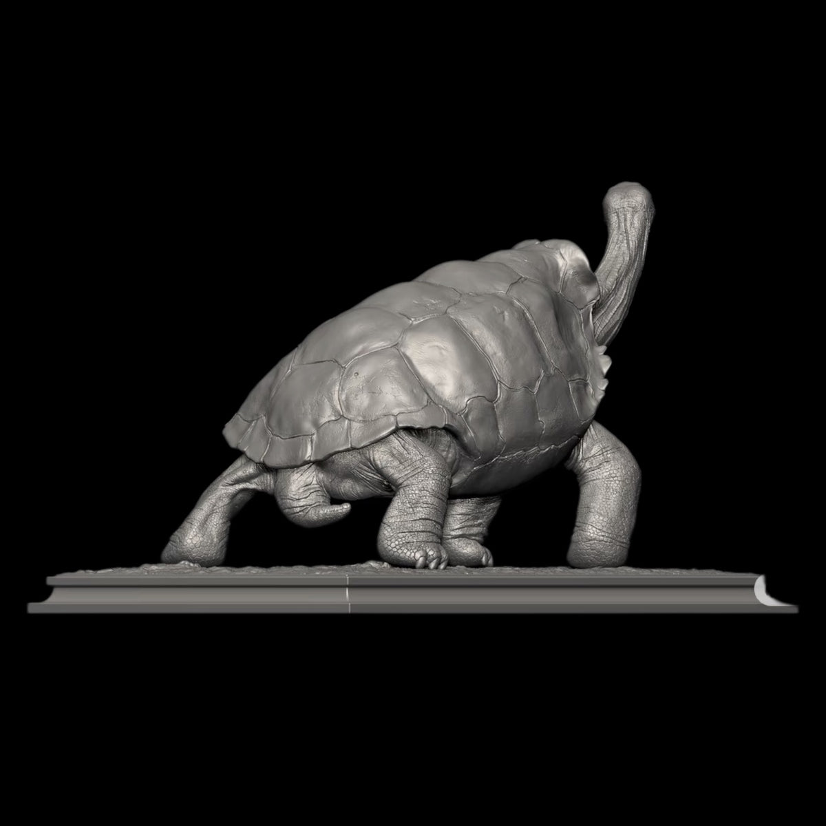 GALAPAGOS GIANT TORTOISE statue Model Kit 1:6 1:10 1:18 Scale APHID STUDIO