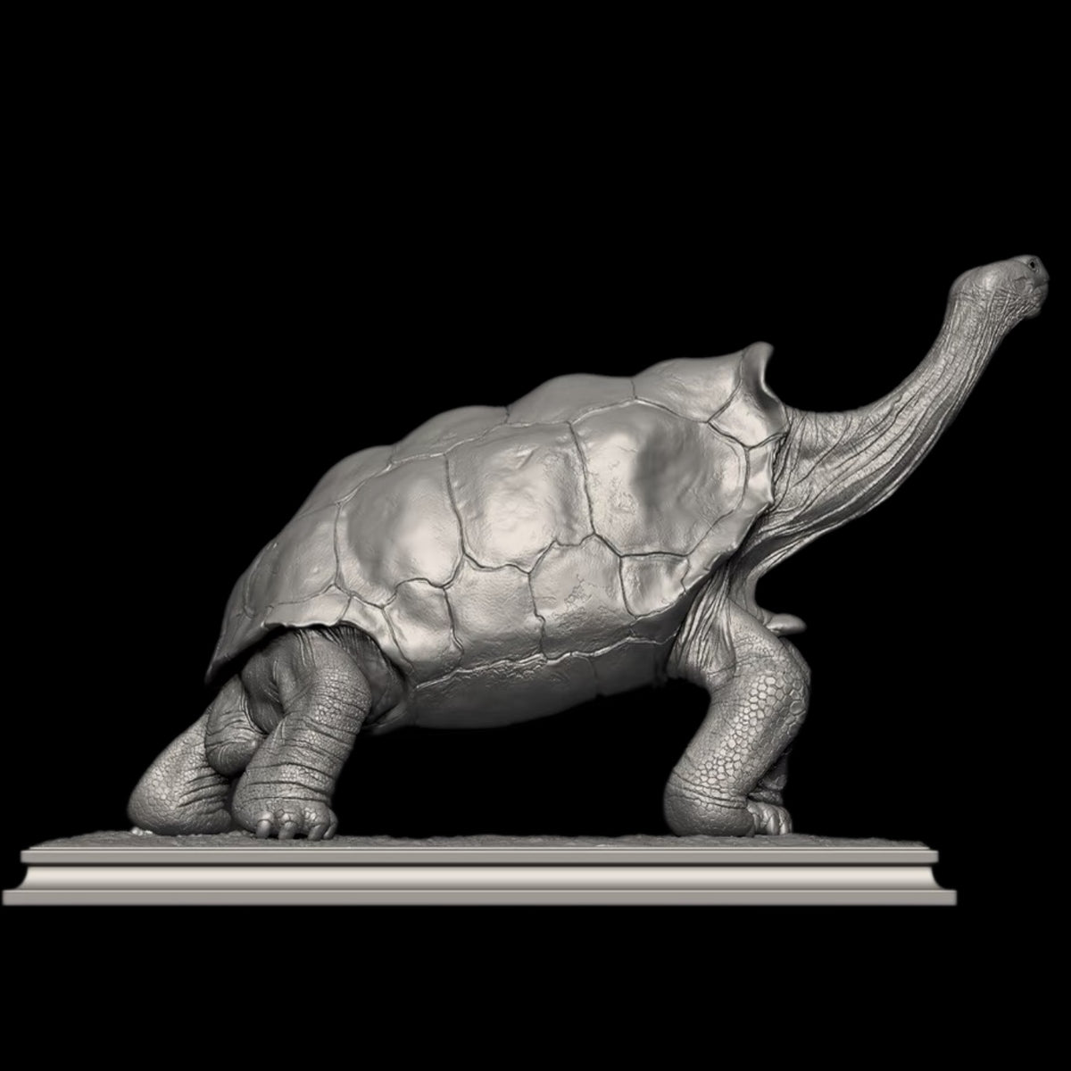 GALAPAGOS GIANT TORTOISE statue Model Kit 1:6 1:10 1:18 Scale APHID STUDIO