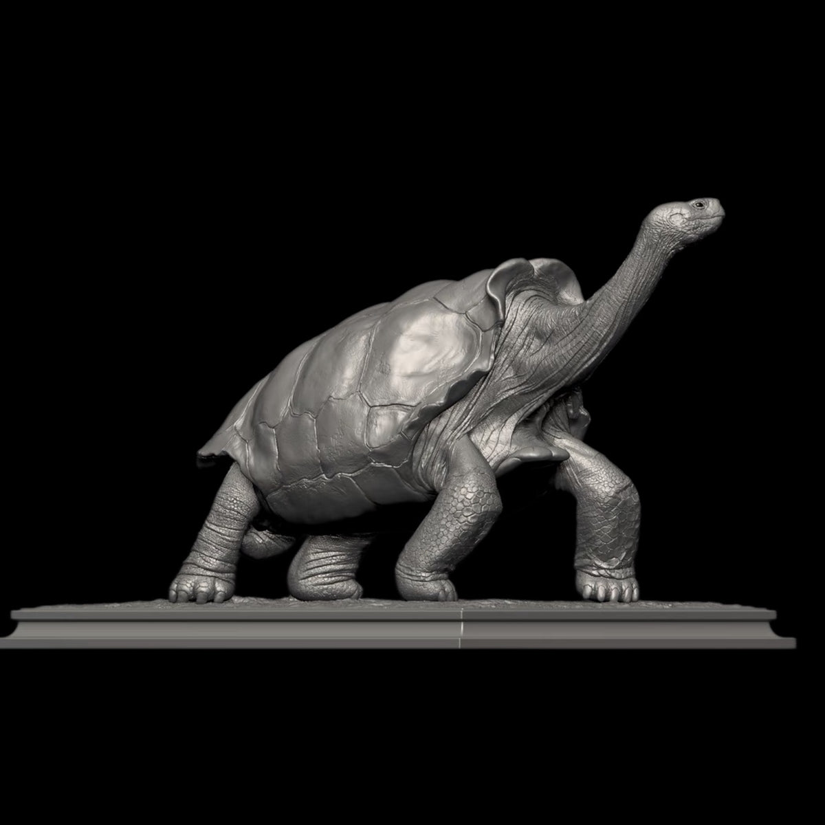 GALAPAGOS GIANT TORTOISE statue Model Kit 1:6 1:10 1:18 Scale APHID STUDIO