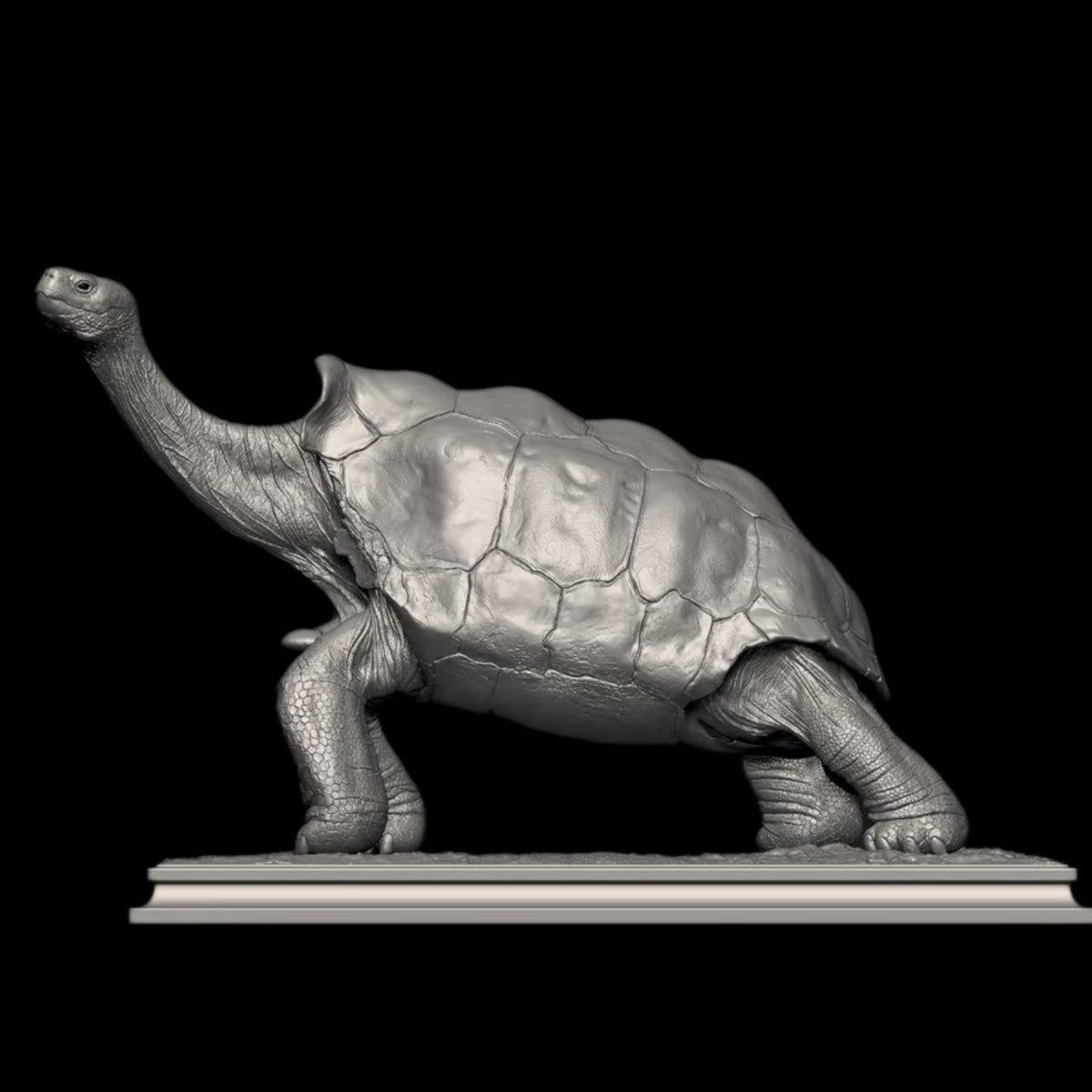 GALAPAGOS GIANT TORTOISE statue Model Kit 1:6 1:10 1:18 Scale APHID STUDIO