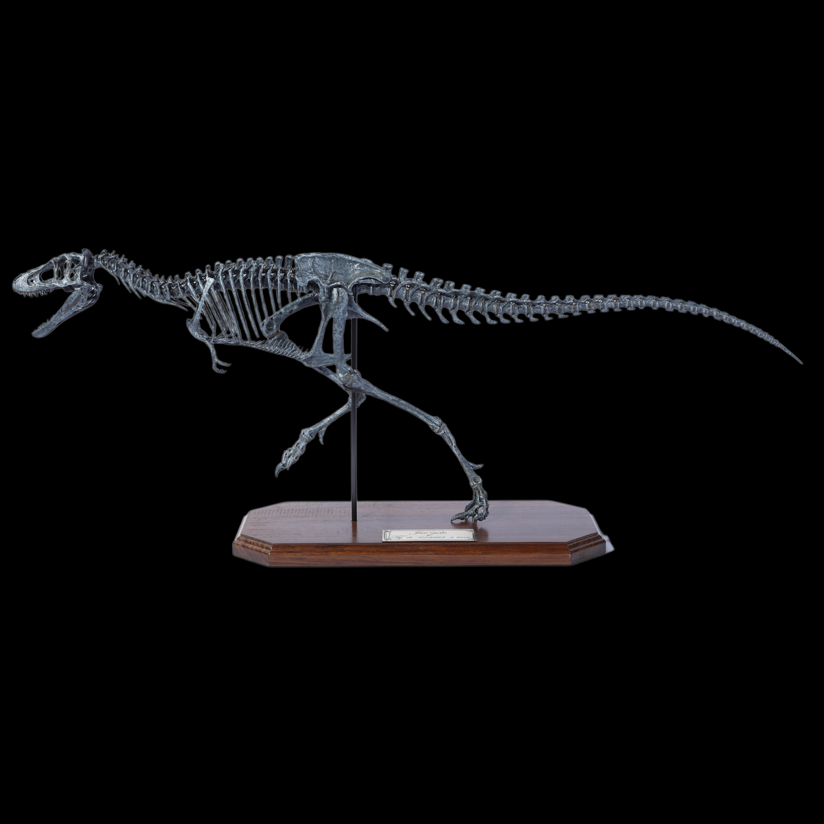 JUVENILE TYRANNOSAURUS REX SKELETON MODEL