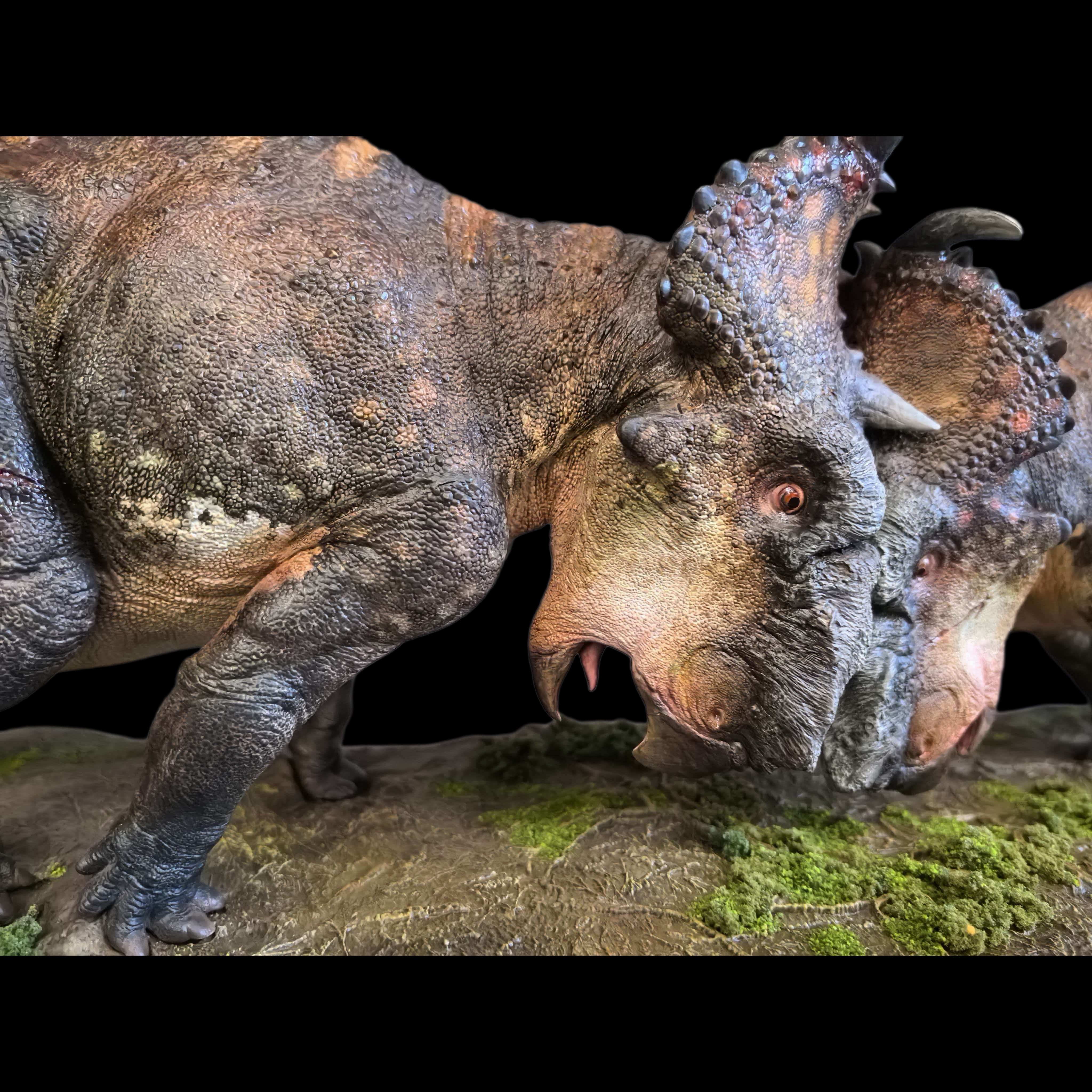 Pachyrhinosaurus statue Model Kit 1:35 1:20 Scale Dinosoul Studio