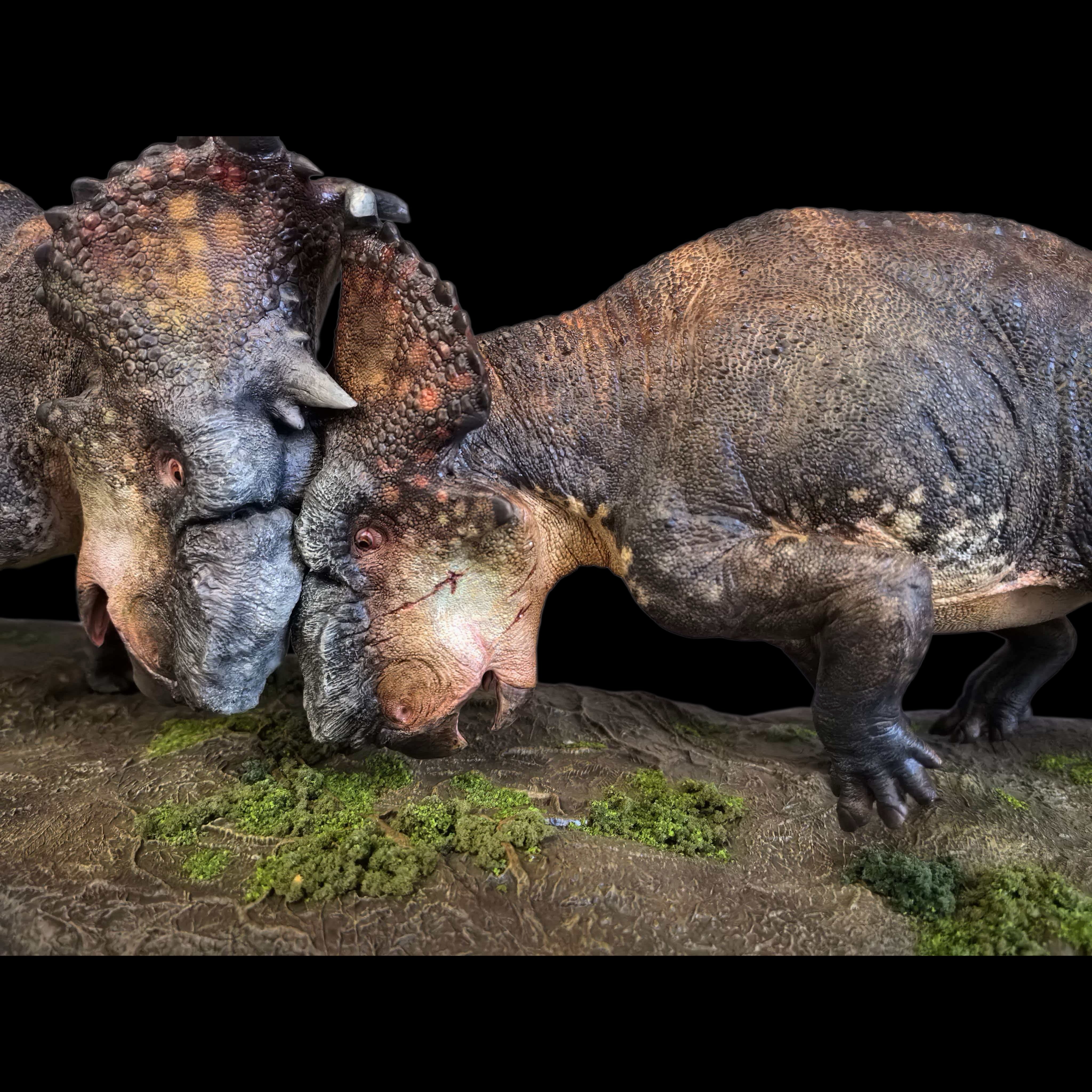 Pachyrhinosaurus statue Model Kit 1:35 1:20 Scale Dinosoul Studio