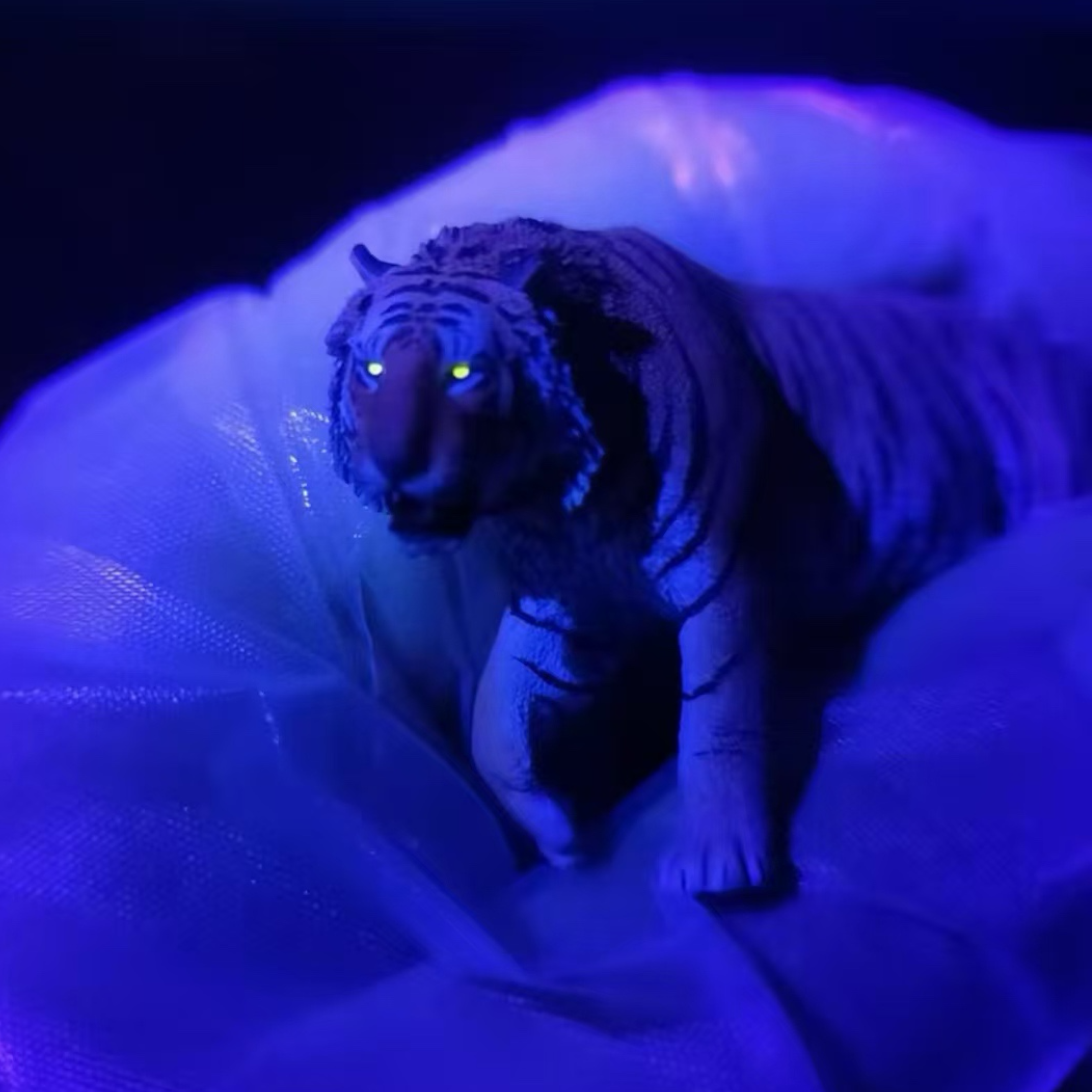 Panthera tigris tigris statue Model Kit 1:10 1:15 1:18 1:35 Scale APHID STUDIO