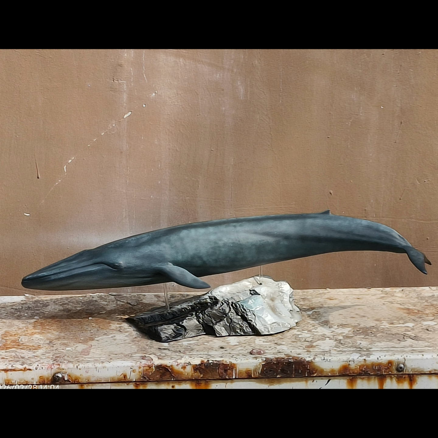 Balaenoptera musculus Statue Model Kit 1:35 1:64 Scale  RM Studio