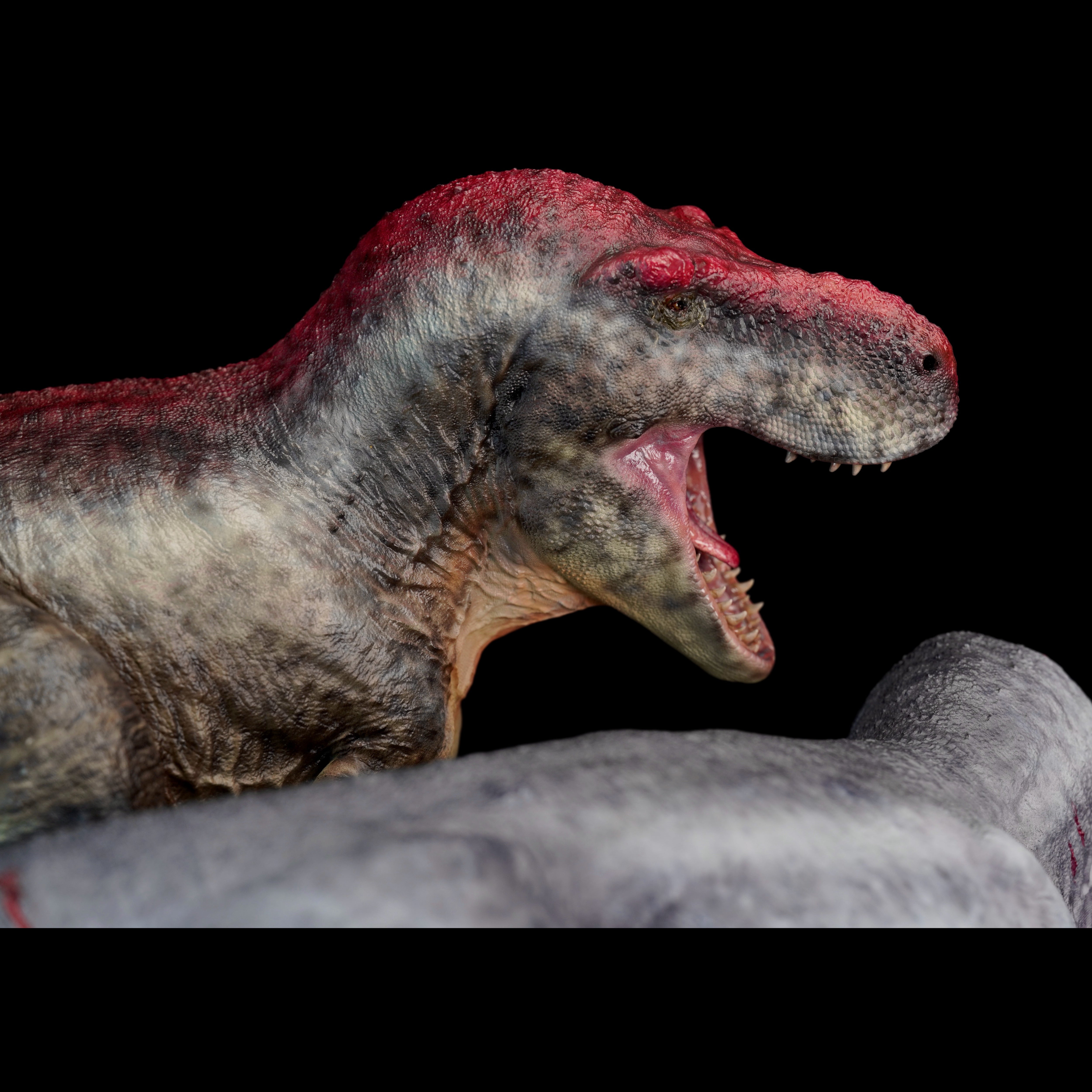 Tyrannosaurus rex  Statue Model Kit 1:18 Scale Art&Evolution Studio