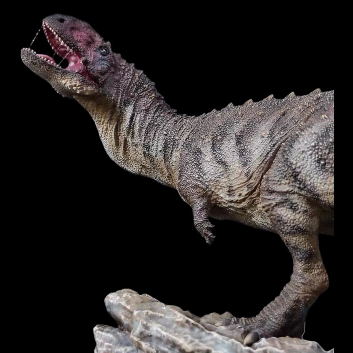 Majungasaurus statue Model Kit 1:35 1:20 Scale
