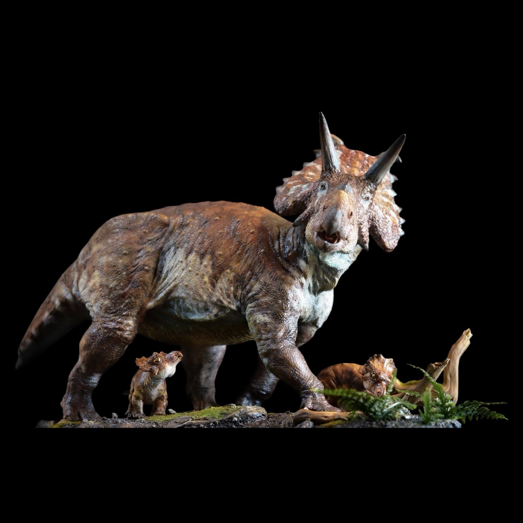 Albertaceratops Statue Model Kit 1:15 Scale Musee Studio